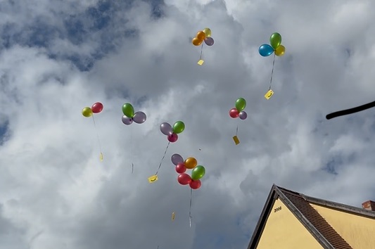 neueste_fotos_anzeigen.jpeg